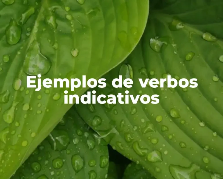 Ejemplos de verbos indicativos