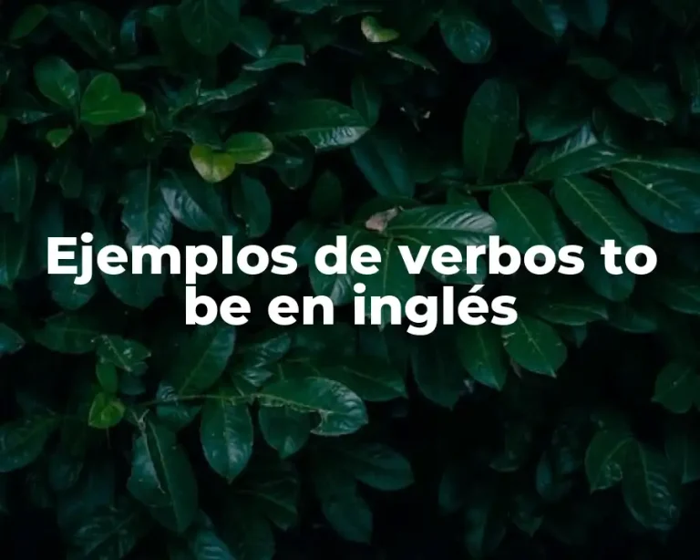 Ejemplos de verbos to be en inglés