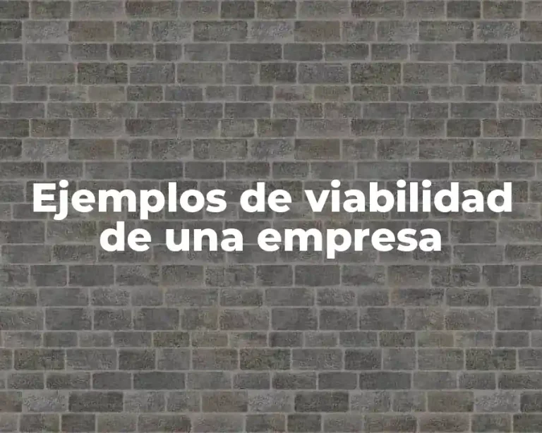 Ejemplos de viabilidad de una empresa