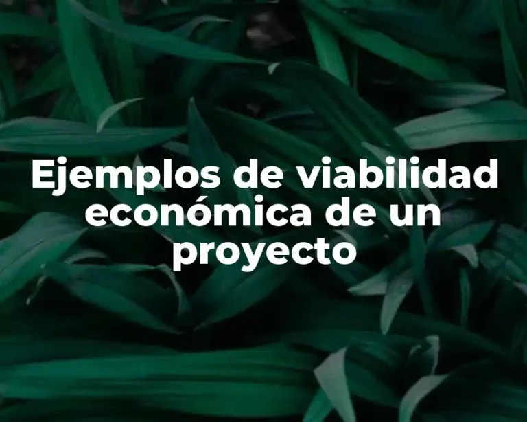 Ejemplos de viabilidad económica de un proyecto