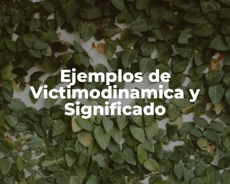 Ejemplos de Victimodinamica y Significado