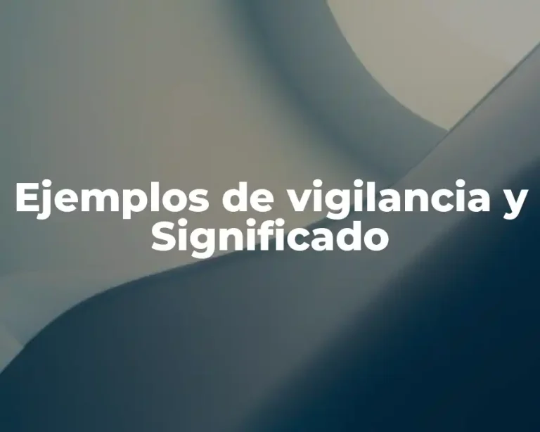 Ejemplos de vigilancia y Significado