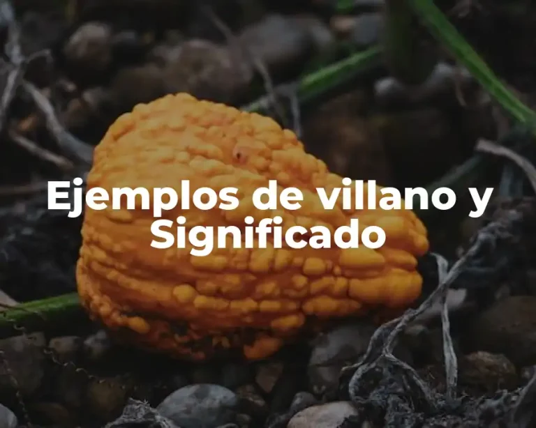 Ejemplos de villano y Significado