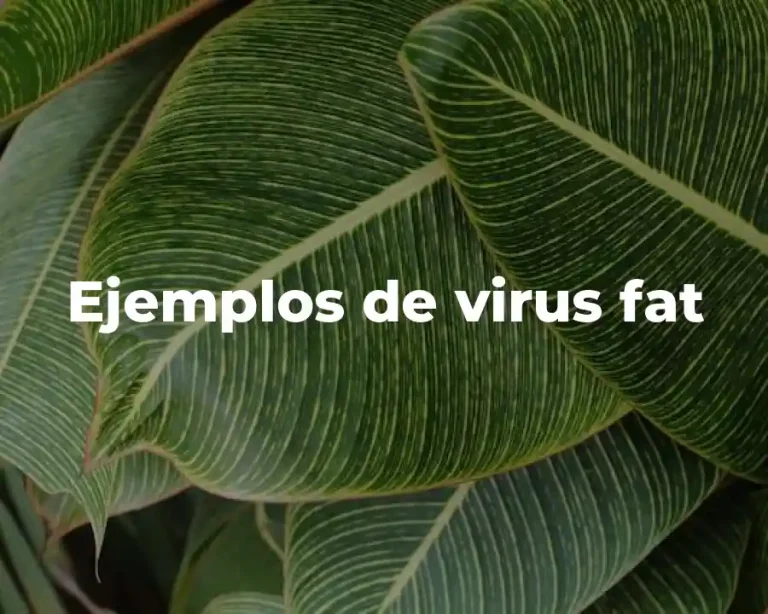 Ejemplos de virus fat