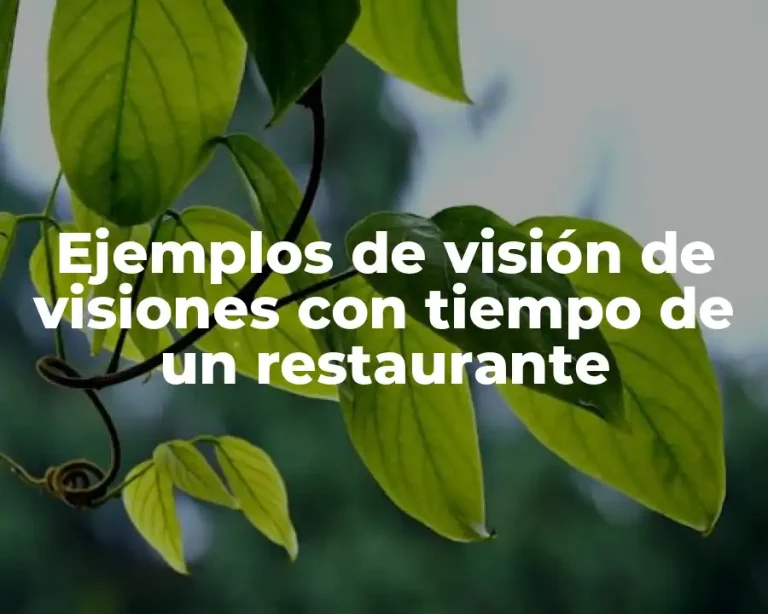 Ejemplos de visión de visiones con tiempo de un restaurante