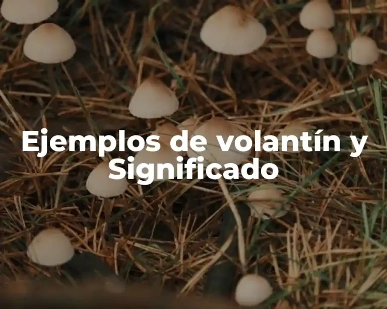 Ejemplos de volantín y Significado