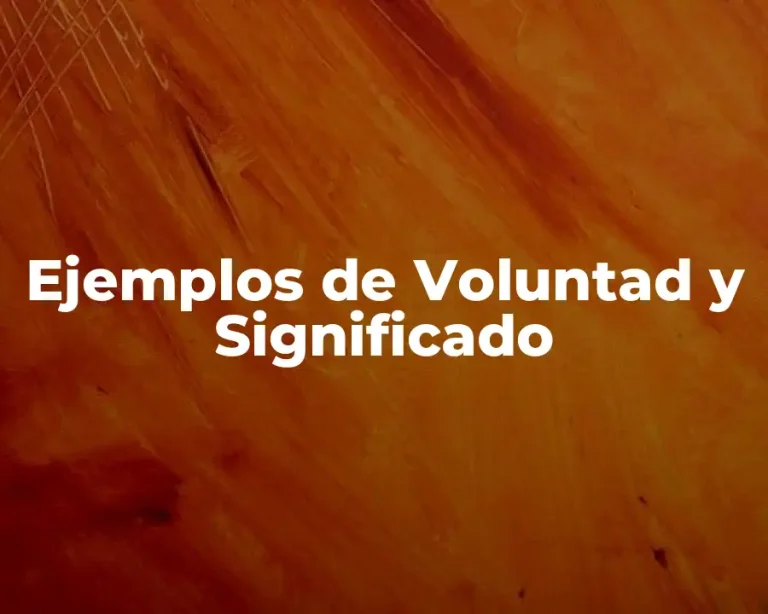 Ejemplos de Voluntad y Significado
