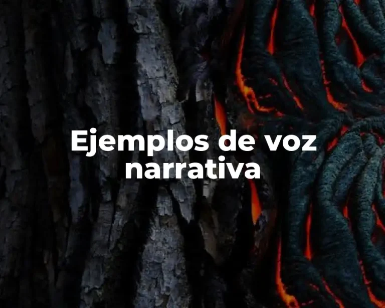 Ejemplos de voz narrativa
