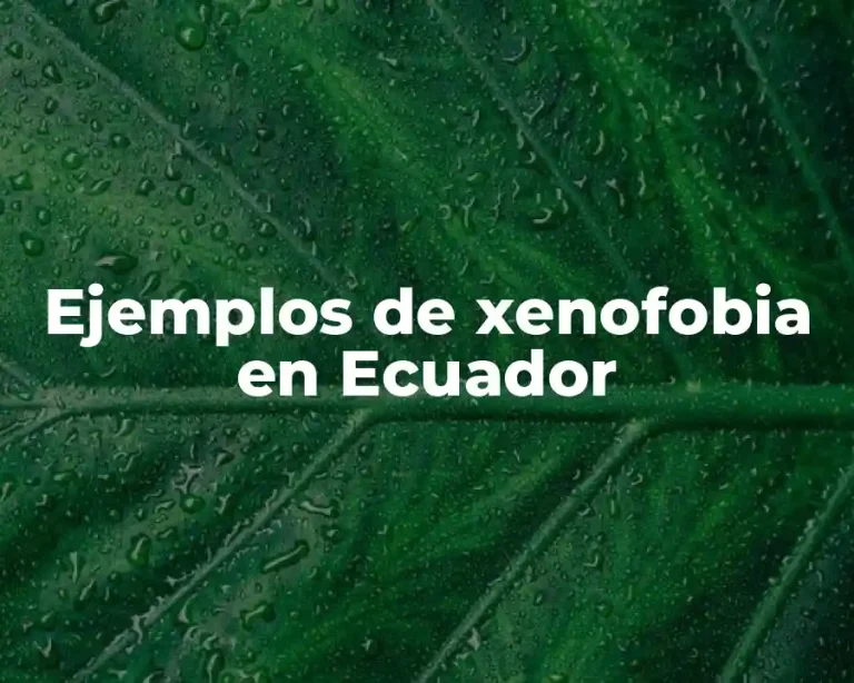 Ejemplos de xenofobia en Ecuador