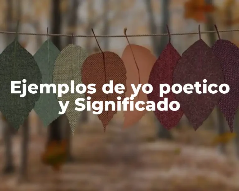 Ejemplos de yo poetico y Significado