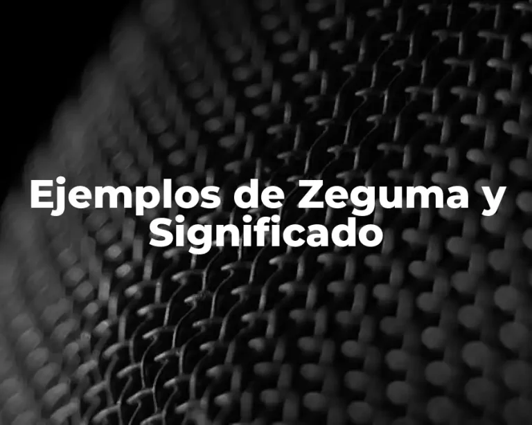 Ejemplos de Zeguma y Significado