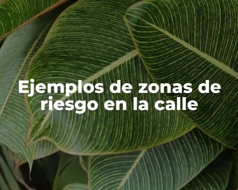 Ejemplos de zonas de riesgo en la calle