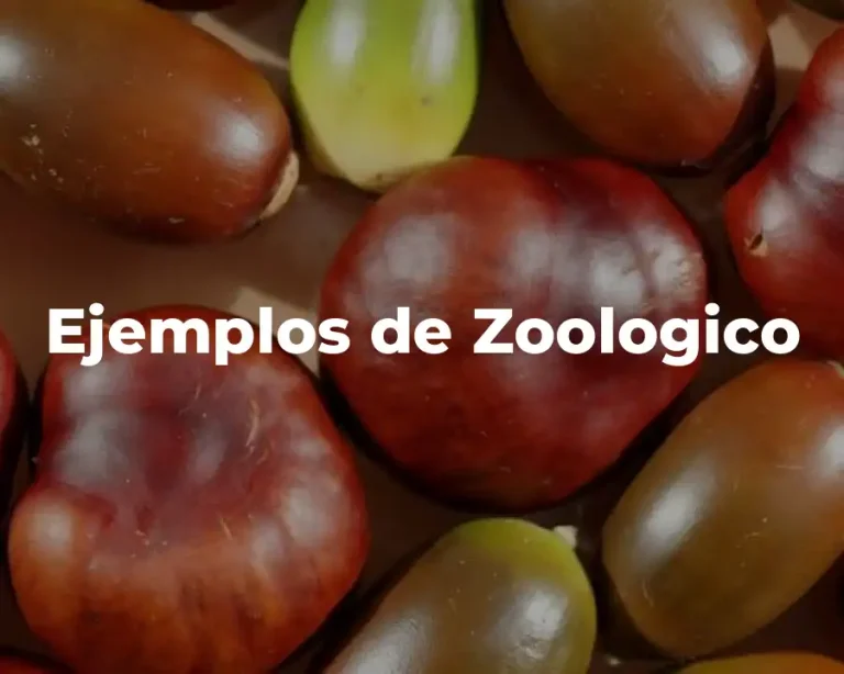 Ejemplos de Zoologico