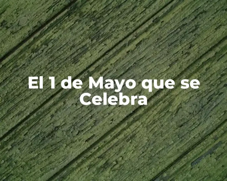 El 1 de Mayo que se Celebra