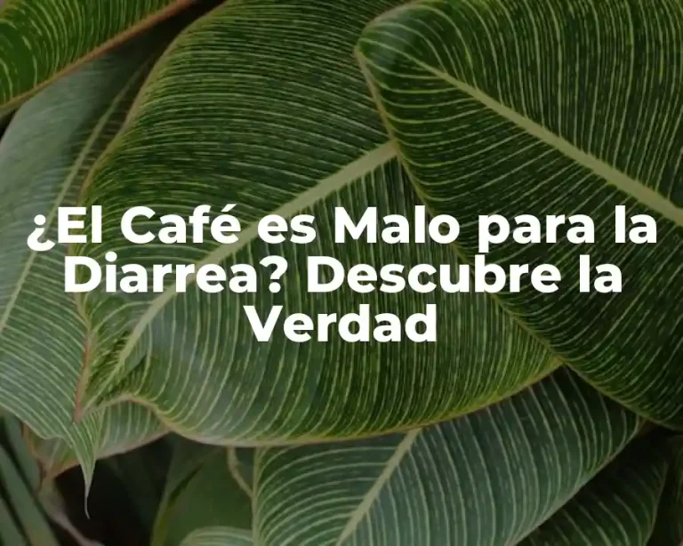 ¿El Café es Malo para la Diarrea? Descubre la Verdad
