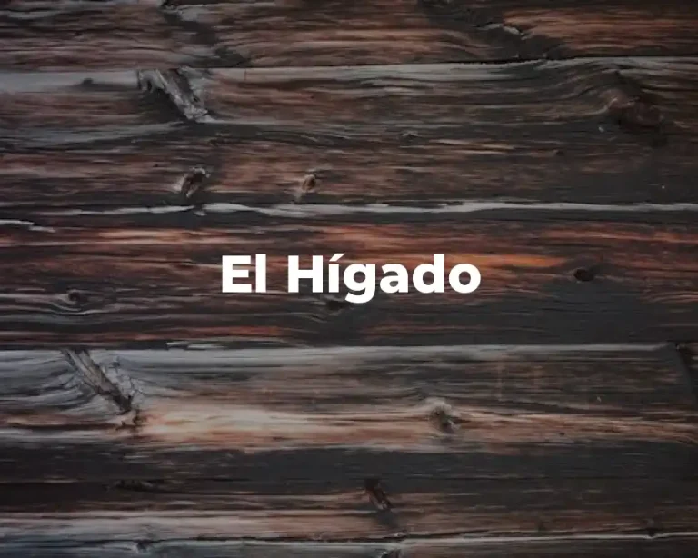 El Hígado