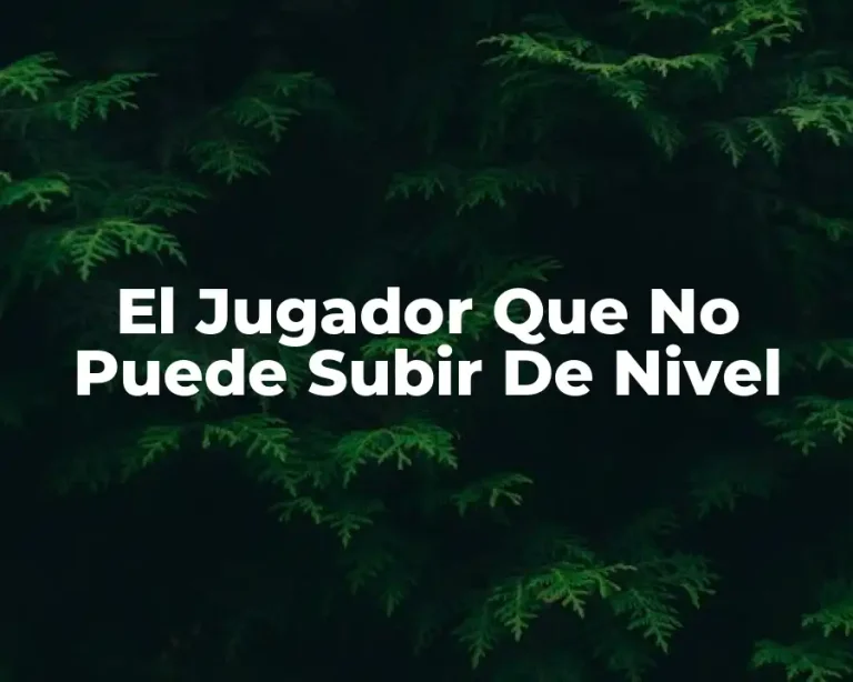 El Jugador Que No Puede Subir De Nivel