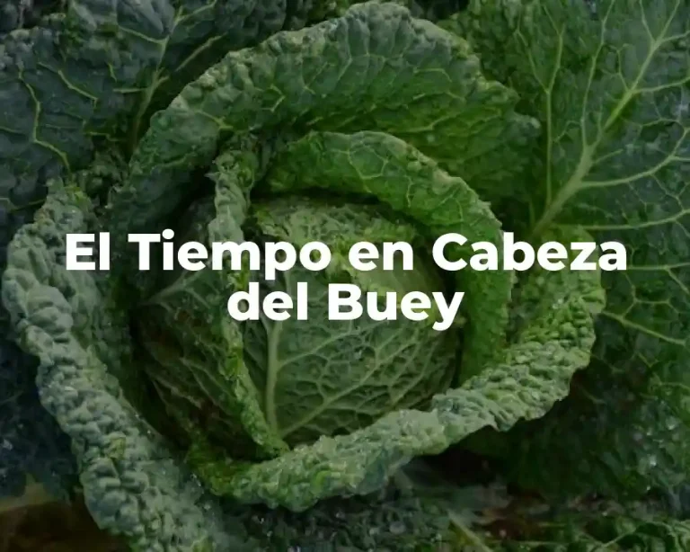 El Tiempo en Cabeza del Buey