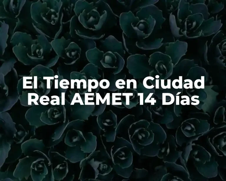 El Tiempo en Ciudad Real AEMET 14 Días