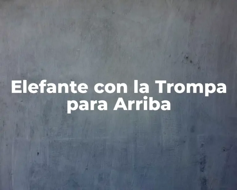 Elefante con la Trompa para Arriba