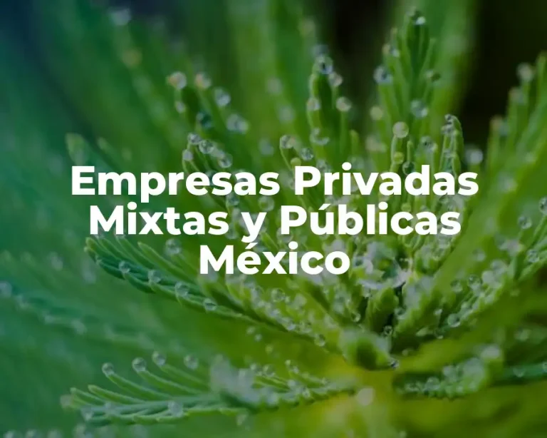 Empresas Privadas Mixtas y Públicas México