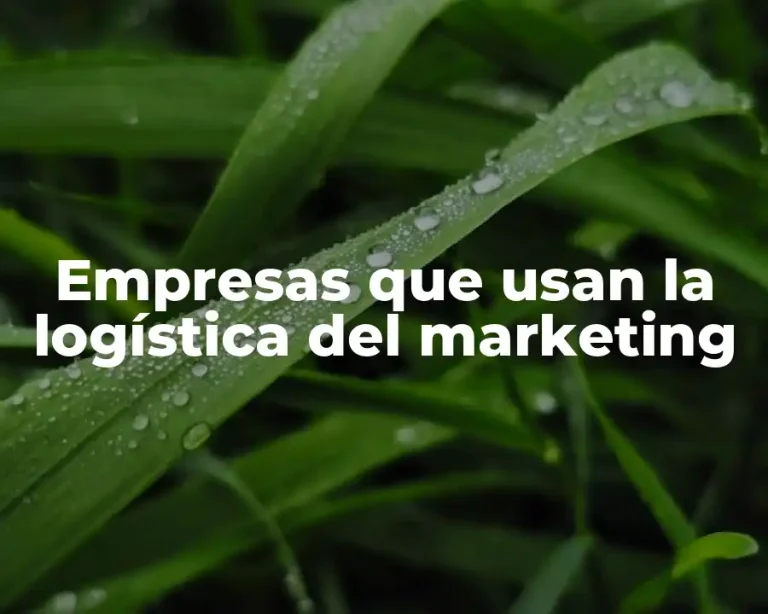 Empresas que usan la logística del marketing