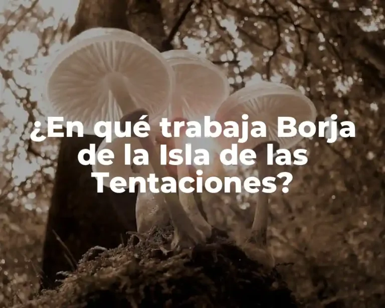 ¿En qué trabaja Borja de la Isla de las Tentaciones?