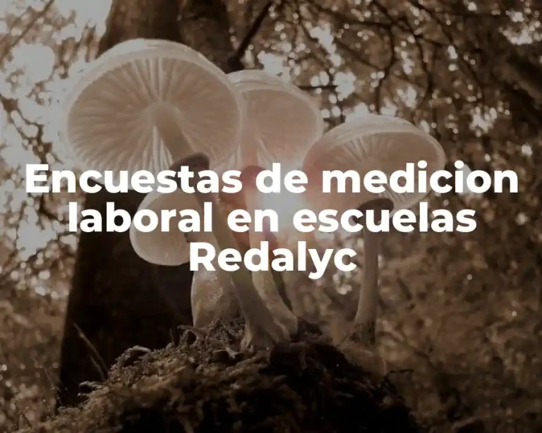 Encuestas de medicion laboral en escuelas Redalyc