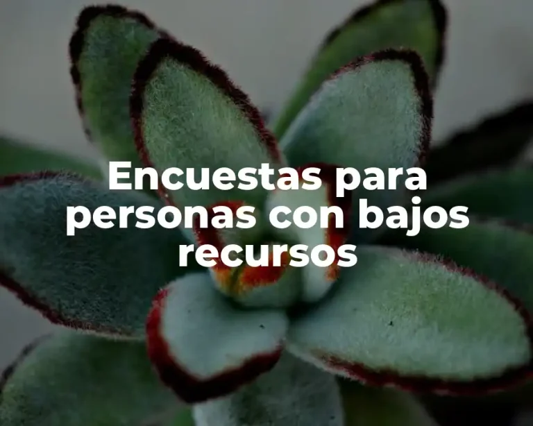 Encuestas para personas con bajos recursos