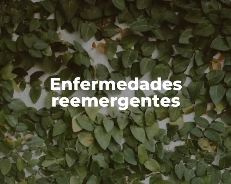 Enfermedades reemergentes