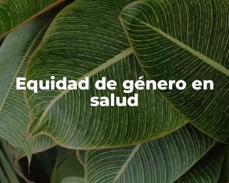 Equidad de género en salud
