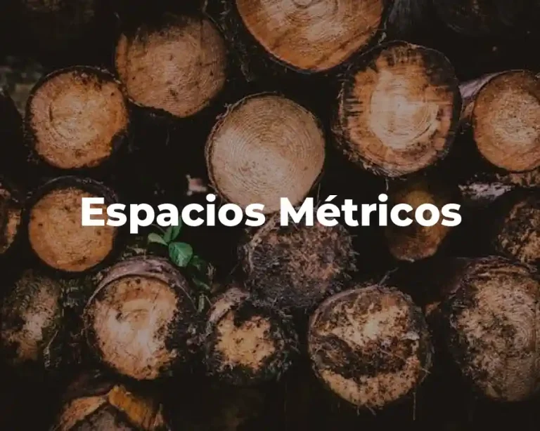 Espacios Métricos