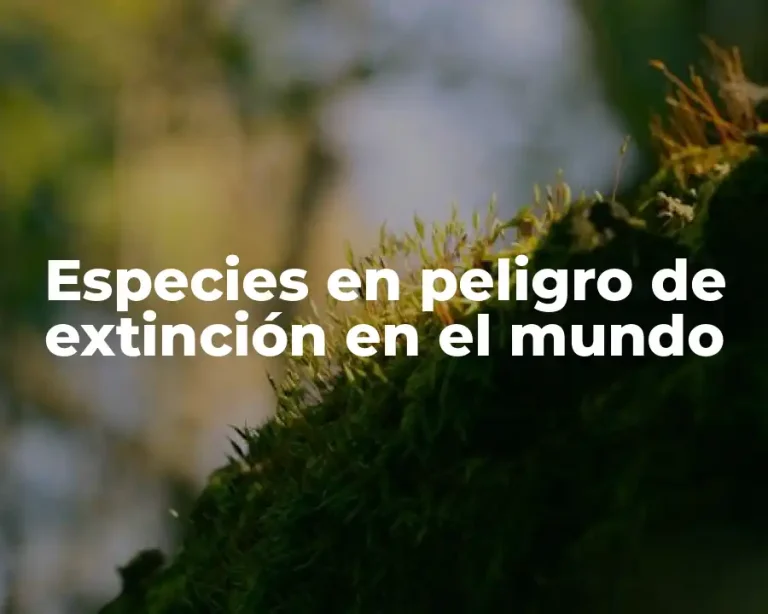 Especies en peligro de extinción en el mundo