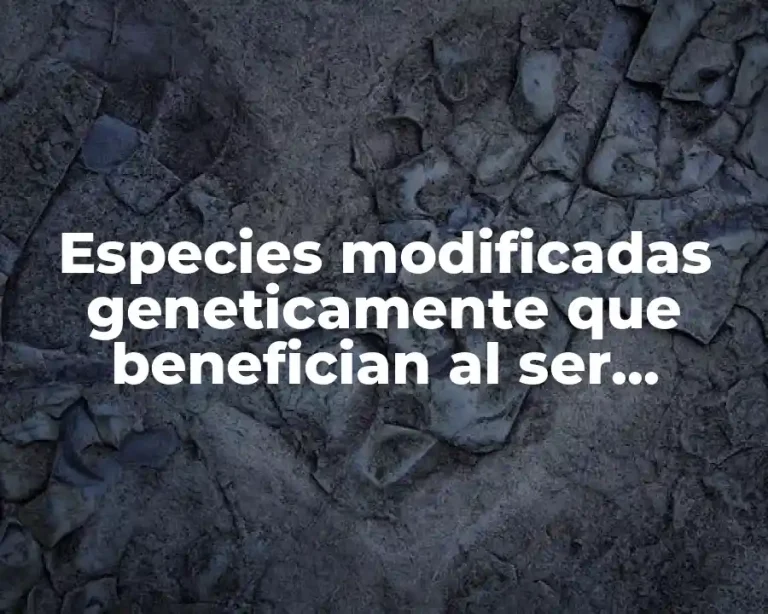 Especies modificadas geneticamente que benefician al ser humano