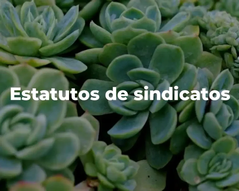 Estatutos de sindicatos