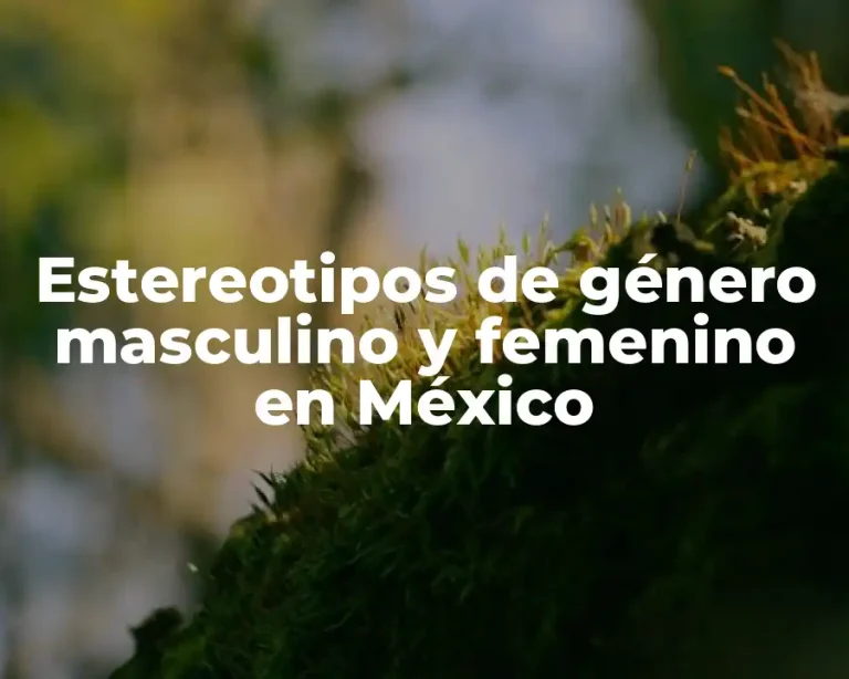 Estereotipos de género masculino y femenino en México