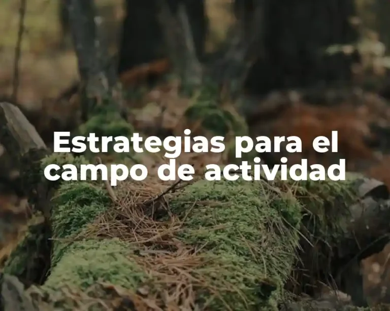 Estrategias para el campo de actividad