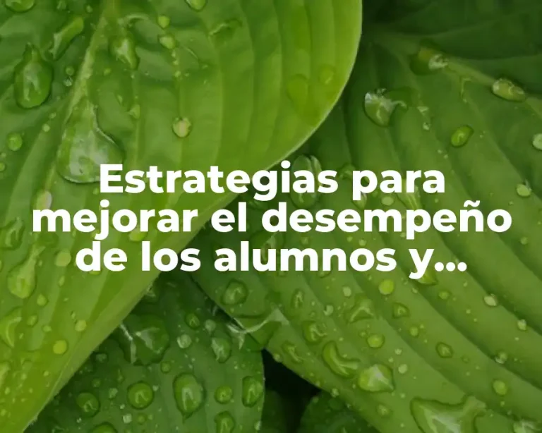 Estrategias para mejorar el desempeño de los alumnos y Significado