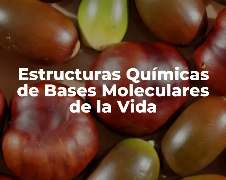 Estructuras Químicas de Bases Moleculares de la Vida