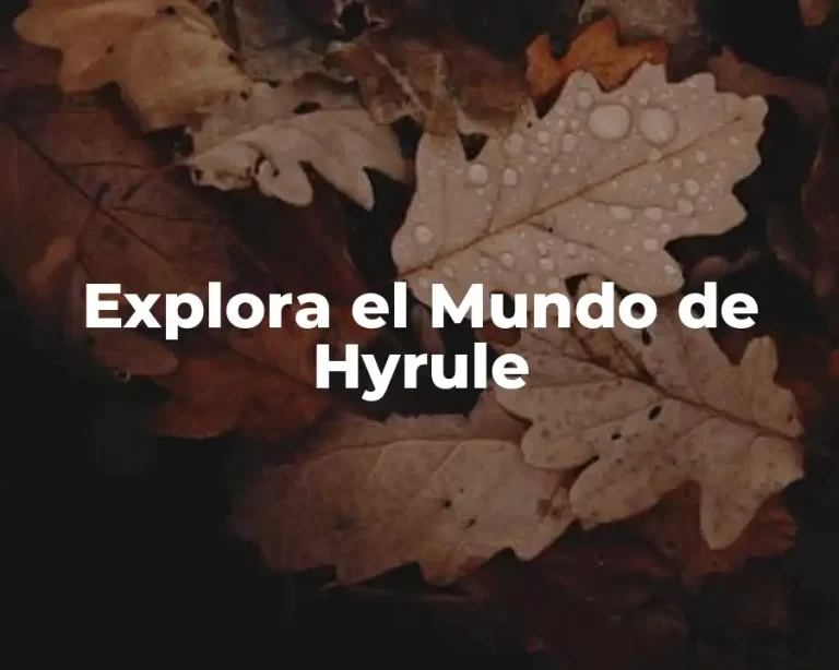 Explora el Mundo de Hyrule