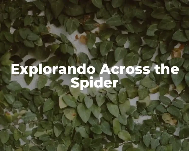 Explorando Across the Spider