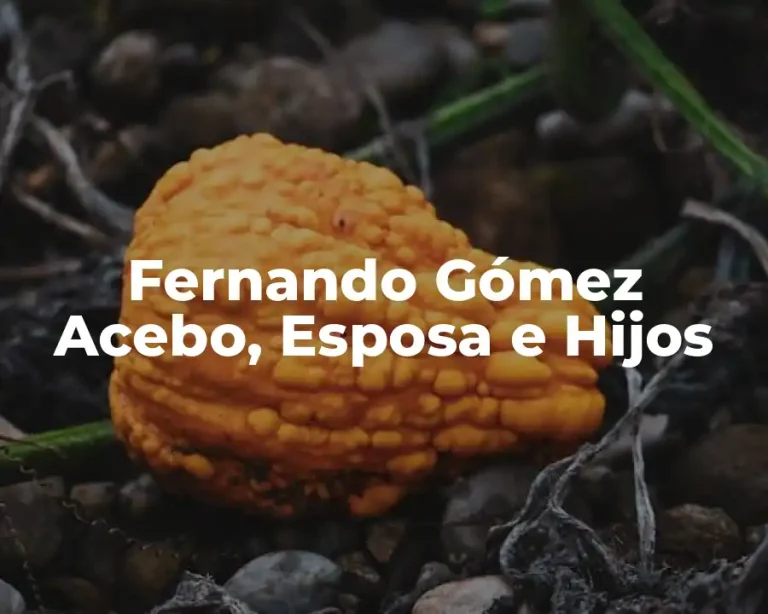 Fernando Gómez Acebo, Esposa e Hijos