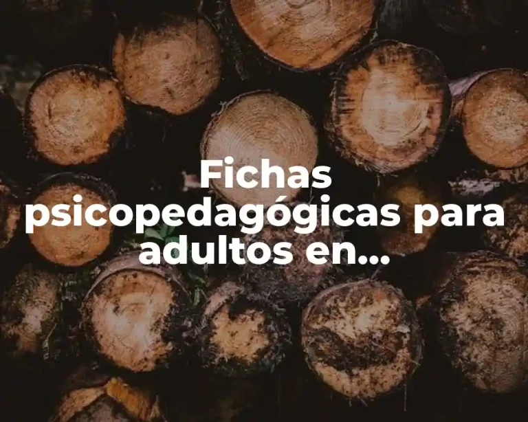Fichas psicopedagógicas para adultos en competencias laborales