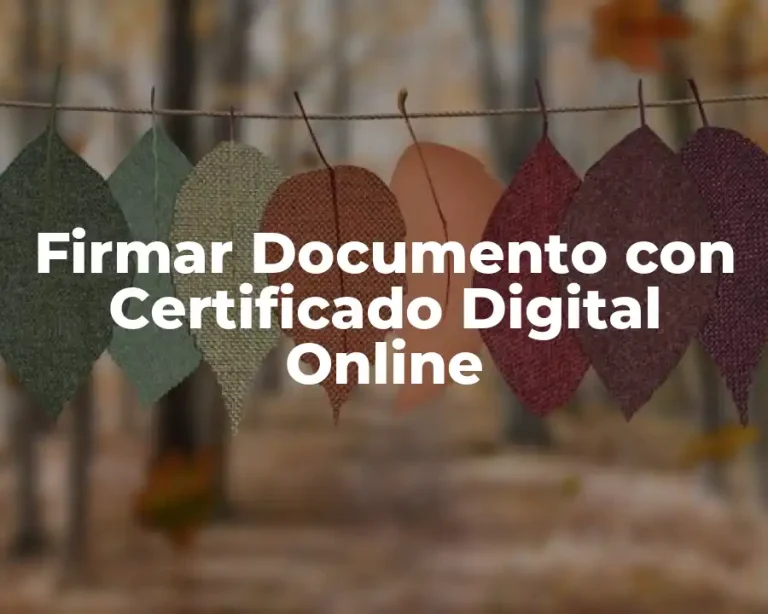 Firmar Documento con Certificado Digital Online