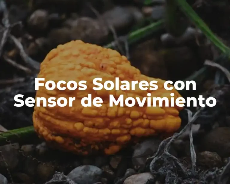 Focos Solares con Sensor de Movimiento