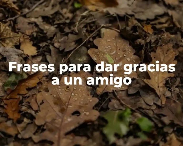 Frases para dar gracias a un amigo