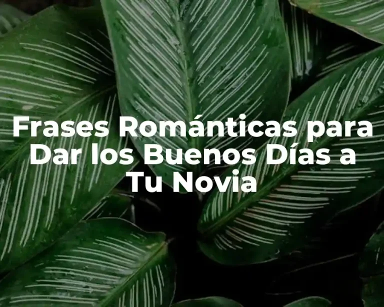 Frases Románticas para Dar los Buenos Días a Tu Novia