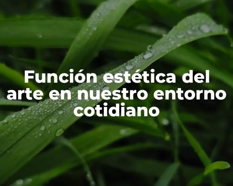 Función estética del arte en nuestro entorno cotidiano