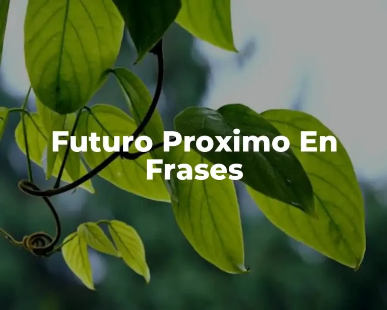 Futuro Proximo En Frases