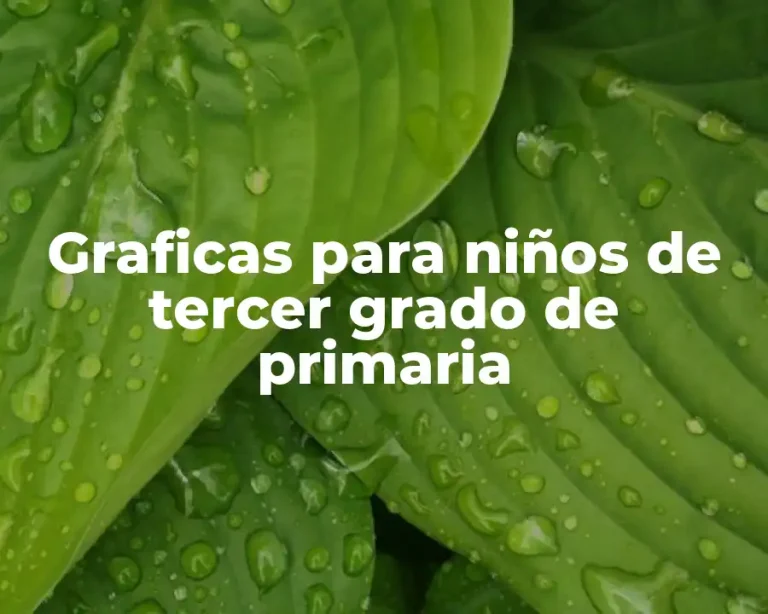 Graficas para niños de tercer grado de primaria